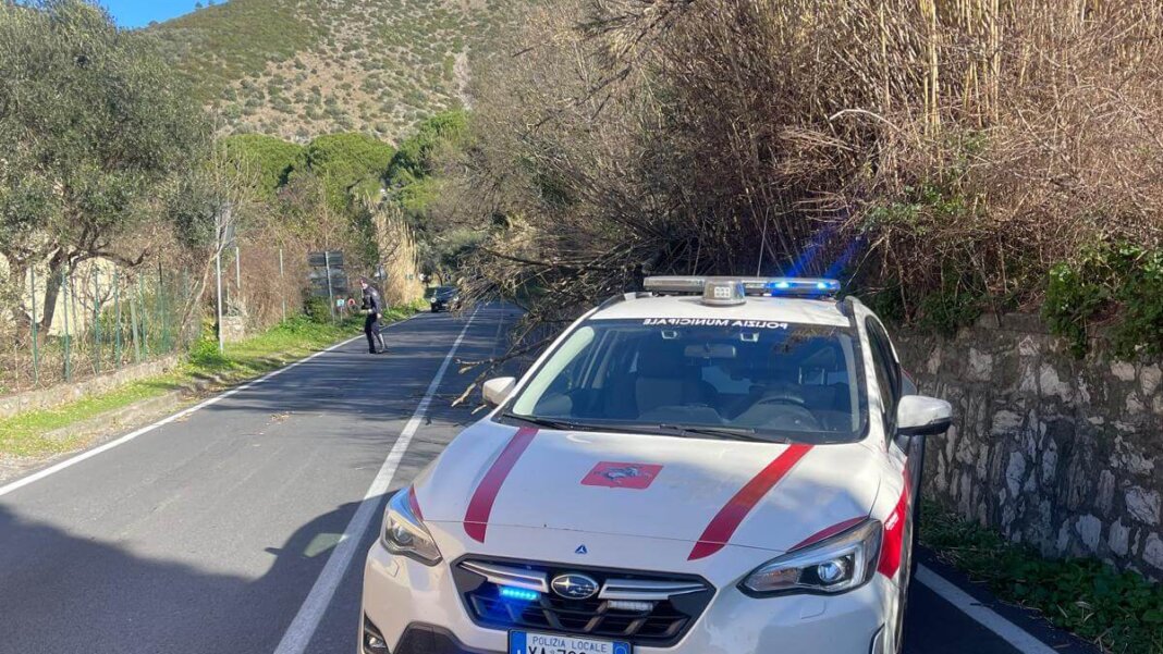 Polizia Locale San Giuliano Terme