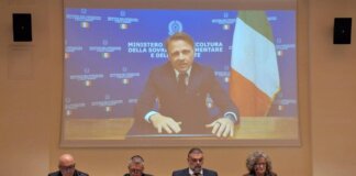 Agricoltura, Lollobrigida (FdI): “Innovazione e sostenibilità pilastri sicurezza alimentare”