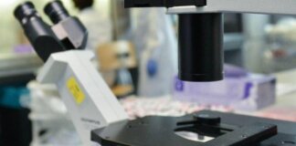 Così i tumori perdono il dono dell’invisibilità, la nuova strategia in una ricerca italiana