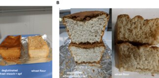 Dal Cnr prototipo di pane di frumento senza glutine, prima volta al mondo