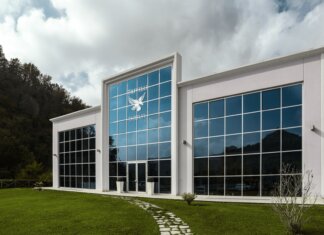 Dalla terra al mondo: la storia di Trivelli Tartufi