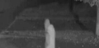 Fermato Elia Del Grande, era alla guida di un’auto rubata