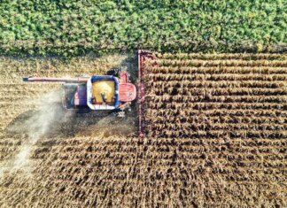 Artea, per il 2025 erogati oltre 200 milioni di euro di contributi