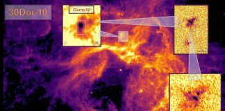 Le leggi universali della nascita delle stelle