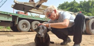 Libano, anche gli animali sotto le bombe: volontari pronti a sfidare gli attacchi per salvarli