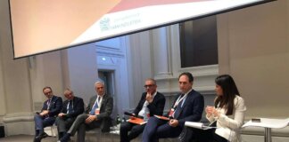 Loizzo (Lega): “Digitale chiave per equità di accesso a Ssn e omogeneità tra Regioni”