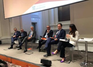 Loizzo (Lega): “Digitale chiave per equità di accesso a Ssn e omogeneità tra Regioni”