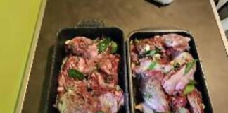 Nutrie arrosto a Pasquetta? Bassetti: “Come mangiare i topi”