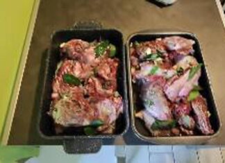 Nutrie arrosto a Pasquetta? Bassetti: “Come mangiare i topi”