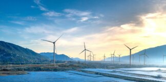 Pannelli, batterie e segreti: perché il futuro ecologico dell’Europa parla cinese