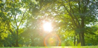 Pasqua e Pasquetta con sbalzo termico, caldo (quasi) estivo e rischio valanghe: le previsioni meteo