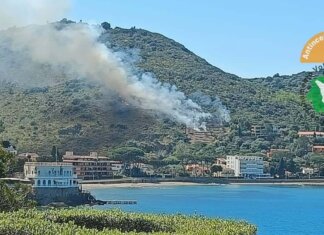 Incendio boschivo sul Monte Argentario, fiamme e fumo dal bosco Incendio Monte argentario Vigili del Fuoco