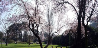 Temperature sopra la media, ma potrebbe tornare la pioggia: previsioni meteo