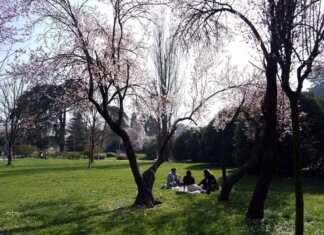 Temperature sopra la media, ma potrebbe tornare la pioggia: previsioni meteo