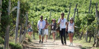 Turismo, UniCredit-Nomisma Wine Monitor: da quello del vino 3 miliardi di valore per cantine