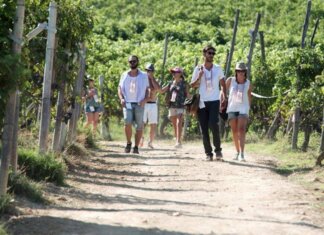 Turismo, UniCredit-Nomisma Wine Monitor: da quello del vino 3 miliardi di valore per cantine