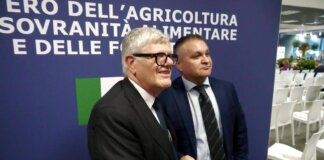 Vinitaly, al padiglione Masaf confronto su gestione rischio in filiera vitivinicola