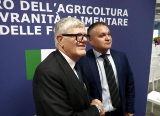 Vinitaly, al padiglione Masaf confronto su gestione rischio in filiera vitivinicola