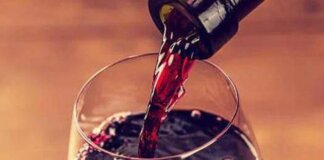 Vinitaly, svolta contro siccità e malattie: in Toscana la prima pianta di sangiovese ottenuta con Tea