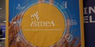 Vinitaly, vino italiano leader: focus su mercati esteri e nuovo bando OCM Promozione