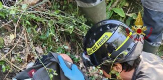 Cade in un dirupo, salvato dai vigili del fuoco