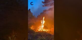 Incendio sul monte Faeta, il vento spinge le fiamme verso valle