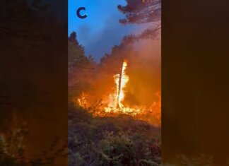 Incendio sul monte Faeta, il vento spinge le fiamme verso valle