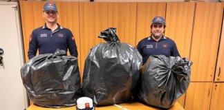 Scoperti in un casolare abbandonato nelle campagne di Montopoli in Val d’Arno 30 chili di marijuana