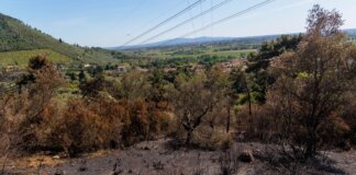Monte Faeta in fiamme, San Giuliano pensa già al futuro: “Subito opere di rimboschimento”