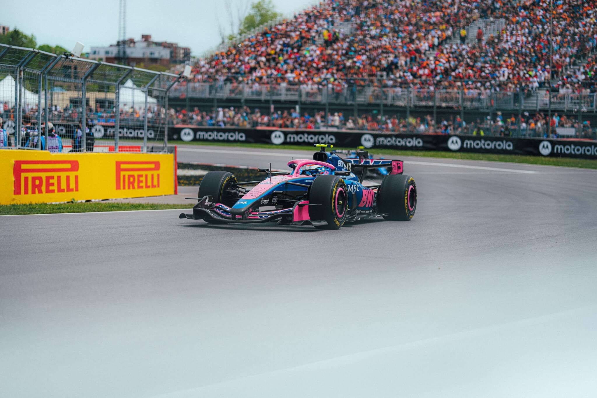 il marchio gucci sbarca in formula 1 sar224 lo sponsor principale dell8217alpine da Corrieretoscano.it il marchio gucci sbarca in formula 1 sar224 lo sponsor principale dell8217alpine