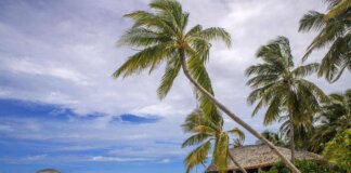 Cinque italiani morti alle Maldive durante un’immersione