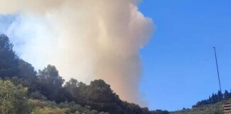 Incendio sui Monti Pisani, la preoccupazione di Cia Etruria