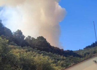Incendio sui Monti Pisani, la preoccupazione di Cia Etruria