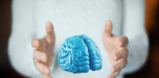 Imparare ad essere altruisti, così il cervello costruisce i comportamenti sociali