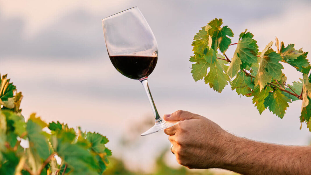 Cantine aperte, Toscana 2026