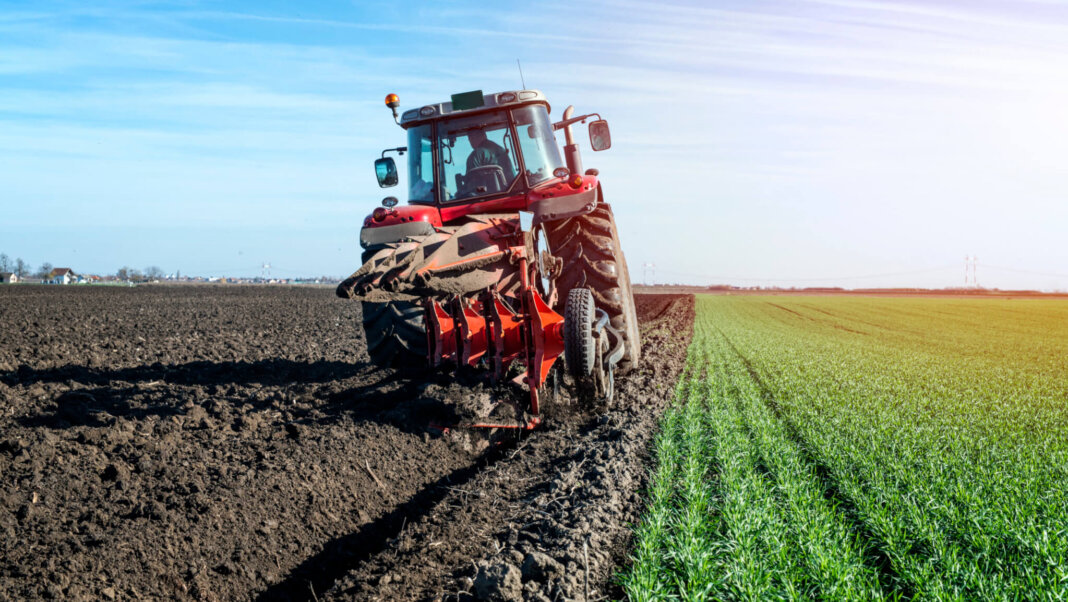 agricoltura
