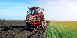 Temperature record nelle campagne toscane: il punto di Confcooperative sulla situazione regionale agricoltura