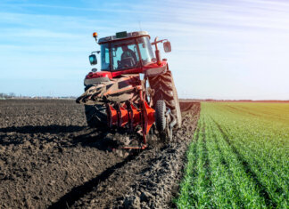 Temperature record nelle campagne toscane: il punto di Confcooperative sulla situazione regionale agricoltura