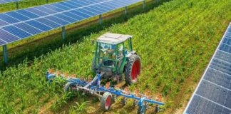 L’ondata di calore colpisce l’agricoltura locale: danni alle colture e rischio rincari per frutta e verdura Agricoltura