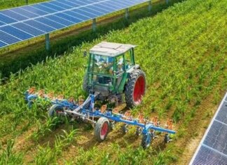 L’ondata di calore colpisce l’agricoltura locale: danni alle colture e rischio rincari per frutta e verdura Agricoltura