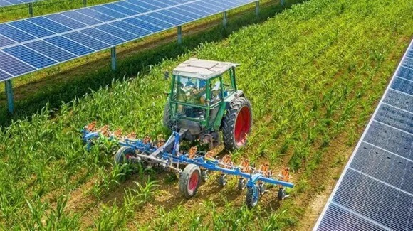 parco agrivoltaico da 20 megawatt nel grossetano la regione approva il progetto 8216ribolla8217 da Corrieretoscano.it parco agrivoltaico da 20 megawatt nel grossetano la regione approva il progetto 8216ribolla8217