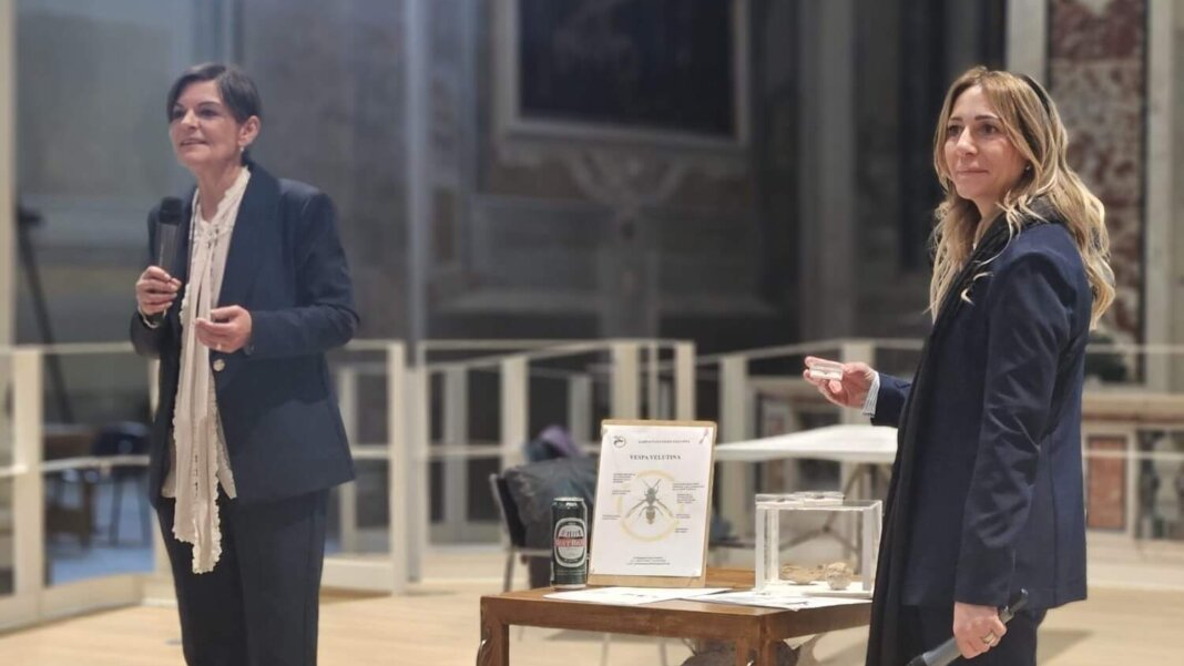 Ufficio stampa e comunicazione del Comune di Lucca