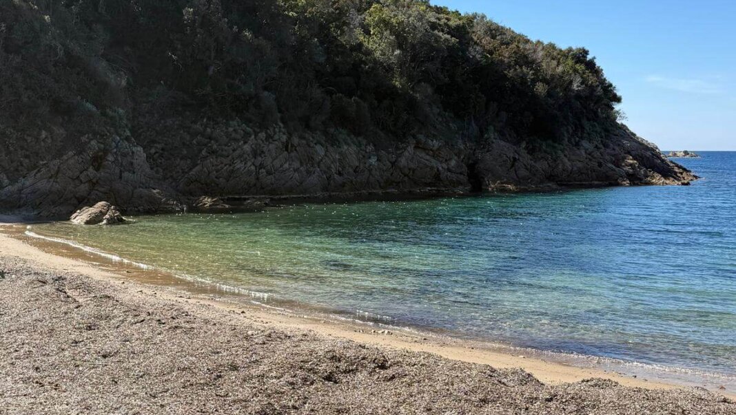 Vacanze 2026