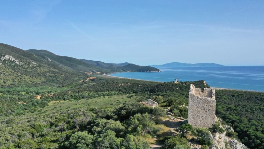la toscana blinda il suo patrimonio naturale fondi per le guardie volontarie e i carabinieri forestali da Corrieretoscano.it la toscana blinda il suo patrimonio naturale fondi per le guardie volontarie e i carabinieri forestali