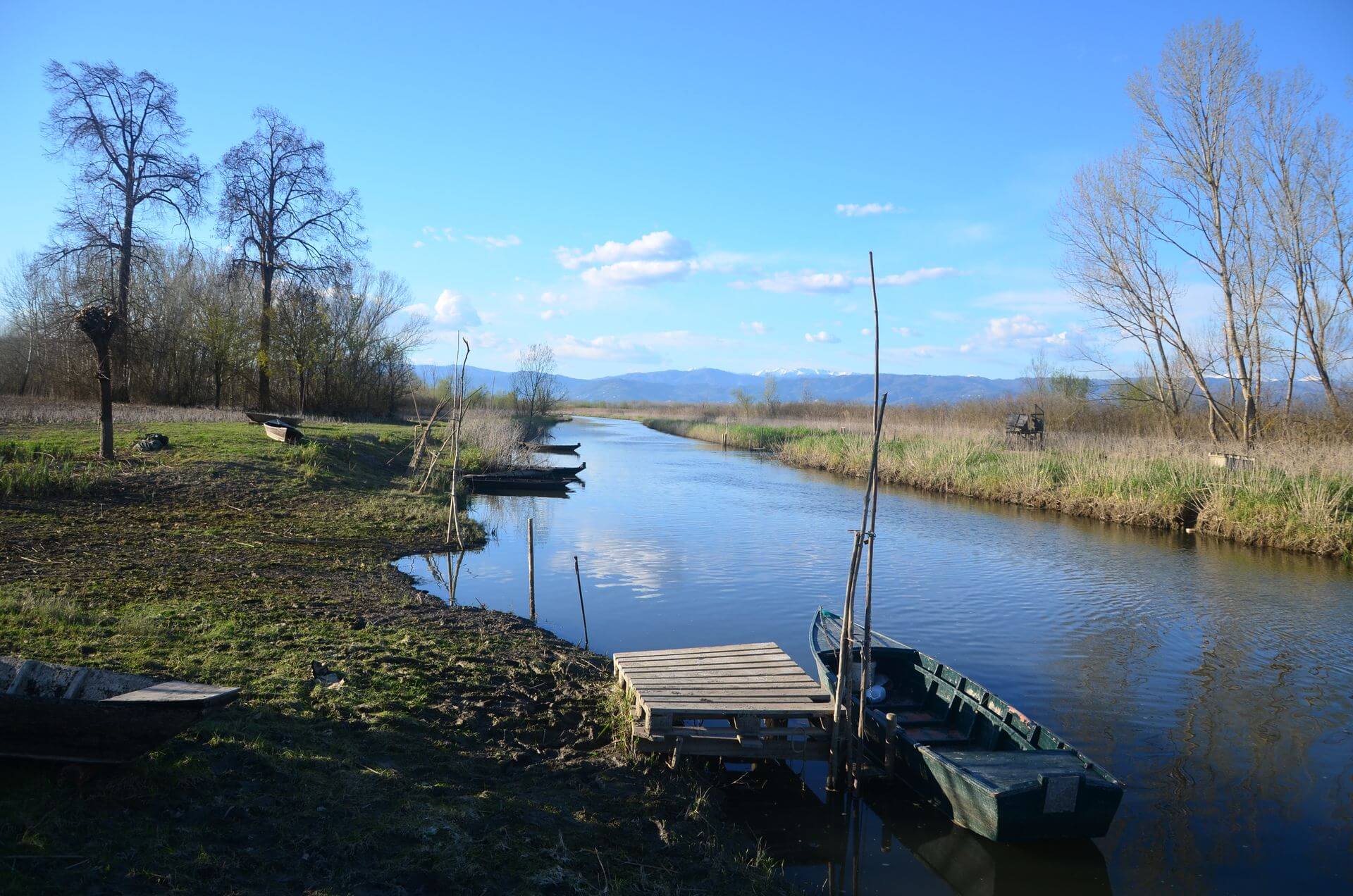 padule di fucecchio e lago di sibolla nuova convenzione per la gestione delle riserve naturali da Corrieretoscano.it padule di fucecchio e lago di sibolla nuova convenzione per la gestione delle riserve naturali