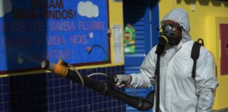 Un caso di dengue a Sesto Fiorentino, partite le disinfestazioni