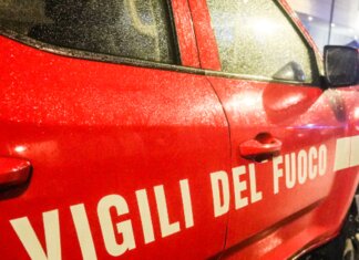Leccio monumentale incendiato a Bagno a Ripoli, identificati 4 minori: volevano cuocere wurstel