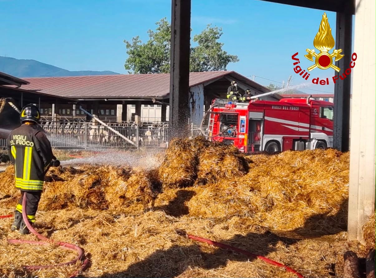 in fiamme deposito di rotoballe a pisa da Corrieretoscano.it in fiamme deposito di rotoballe a pisa