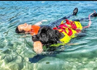Sics a lavoro, i guardiani a quattro zampe del mare