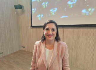 Sostenibilità, Romenti (Iulm): “Cultura sostenibilità nostra prerogativa da tempo”